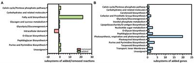 Highlighting the potential of Synechococcus elongatus PCC 7942 as platform to produce α-linolenic acid through an updated genome-scale metabolic modeling